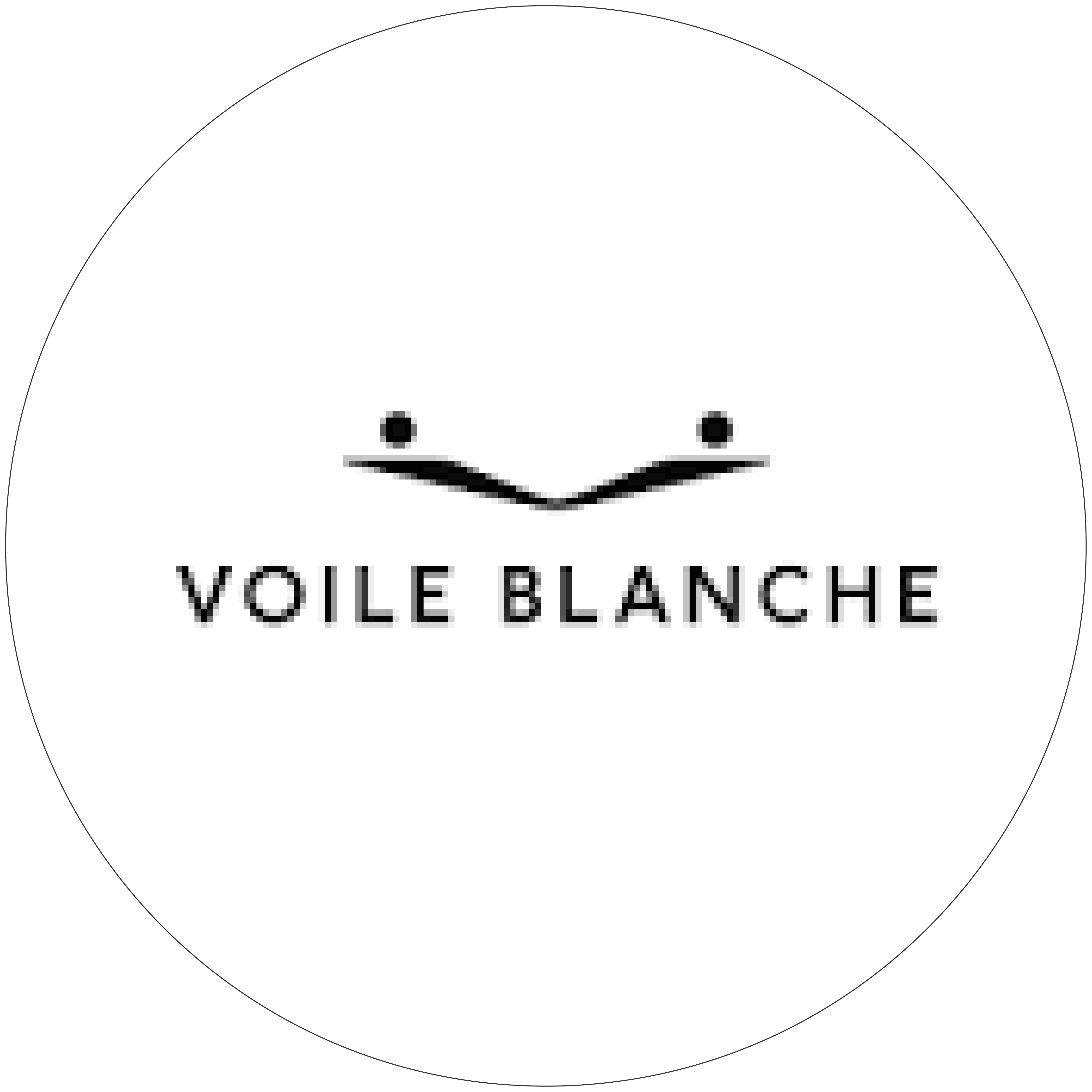 https://www.basile-boutique.be/wp-content/uploads/2023/10/Logo_Voile-blanche.png